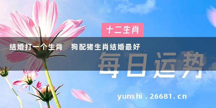 结婚打一个生肖 狗配猪生肖结婚最好